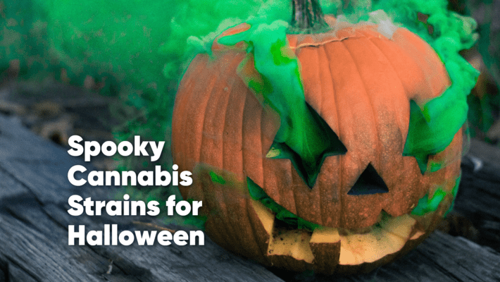 Spooky Cannabis Strains for Halloween