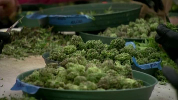 State announces selection of medical marijuana dispensary licenses