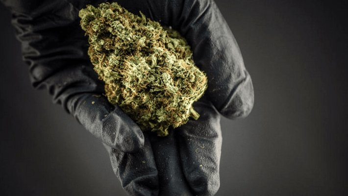 State Medical Board Backs Marijuana For Pain Syndrome