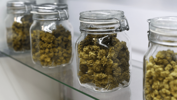 Cannabis Storage: How to Store Weed So It'll Last