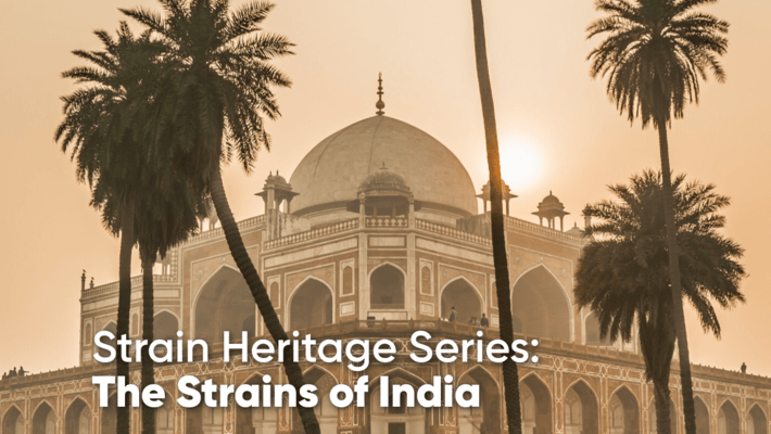 Strain Heritage Series: Strains of India