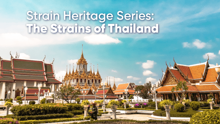 Strain Heritage Series: Strains of Thailand