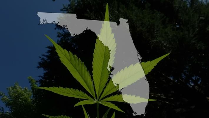 Students allowed to use medical marijuana in school