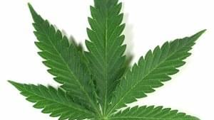 Students Sues After Marijuana Strip Search