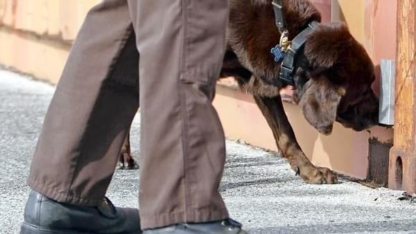 Supreme Court Agrees to take on Drug Sniffing Dog Case