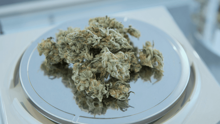 Synthetic Weed and Cannabinoids: How to Tell the Difference Between Them