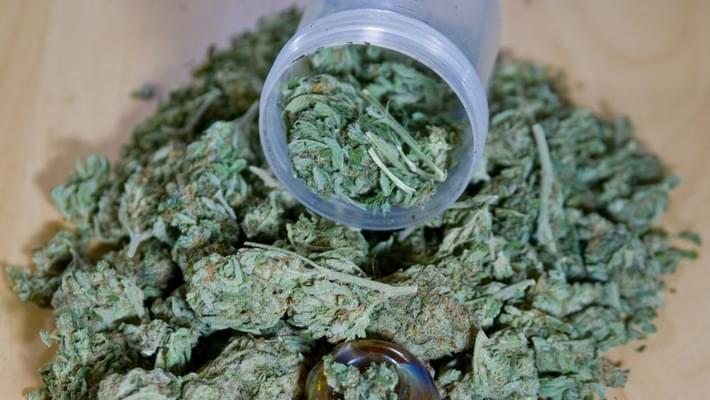 Tampa sets date to vote on marijuana penalties