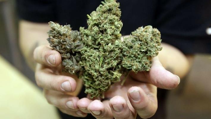 Tampa votes to decriminalize marijuana