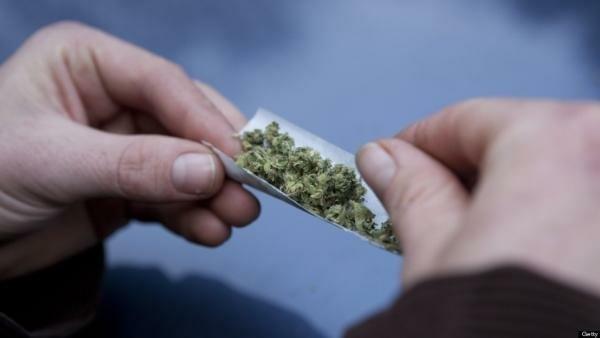 Tampa’s marijuana decriminalization law begins