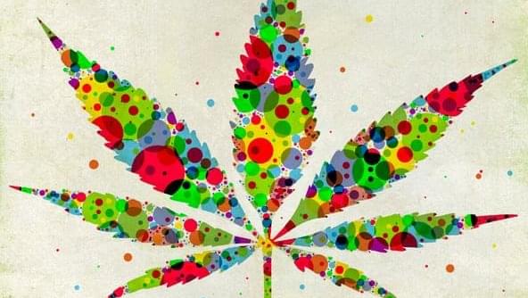 Tapping Medical Marijuana's Potential
