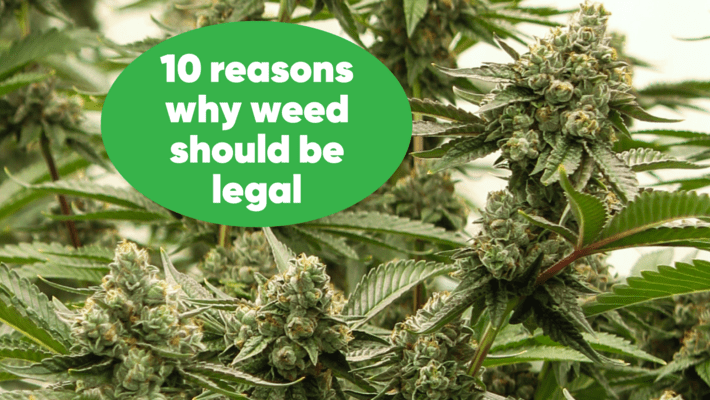 Ten Reasons Why Weed Should Be Legal