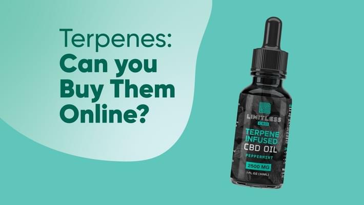 Terpenes: Can you Buy Them Online?