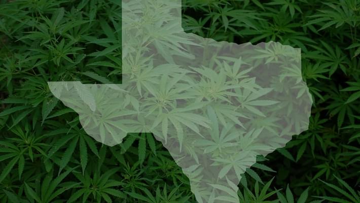 Texas Lawmaker Files Marijuana Decriminalization Bill
