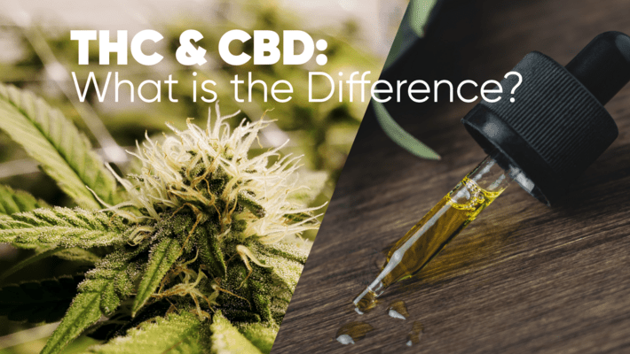 THC and CBD: What is the Difference?