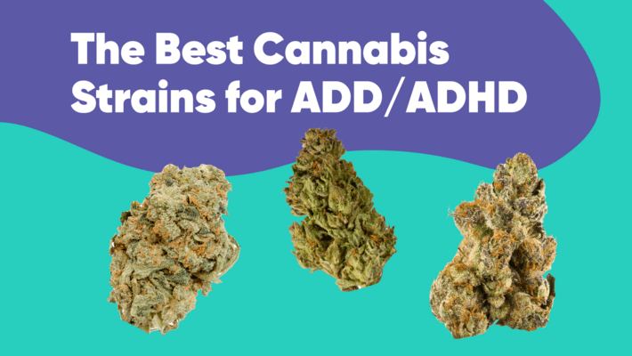 The Best Cannabis Strains for ADD/ADHD