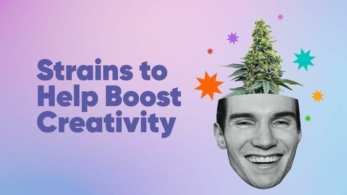 The Best Strains to Help Boost Creativity