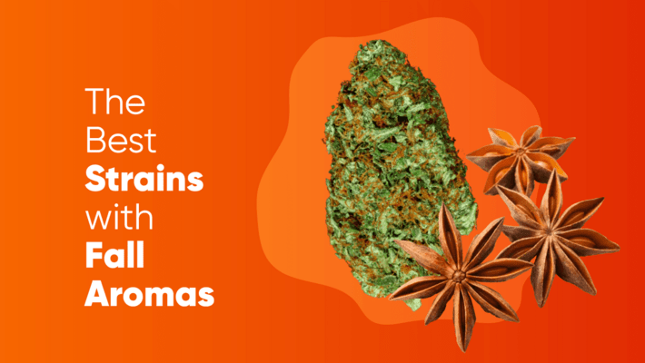 The Best Strains with Fall Aromas