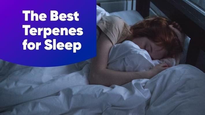 The Best Terpenes for Sleep