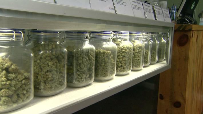 The First Massachusetts Medical Marijuana Dispensary Hopes to Open This Spring