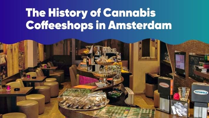 The History of Cannabis Coffeeshops in Amsterdam
