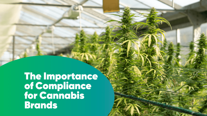 The Importance of Compliance for Cannabis Brands