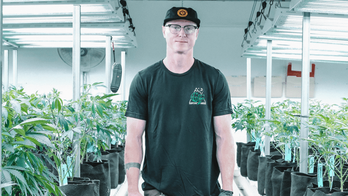 The Legal Cannabis Industry is Gaining Thousands of Former Retail and Dining Workers