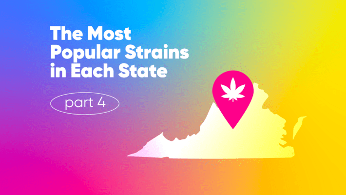 The Most Popular Strains in Each State: Part 4