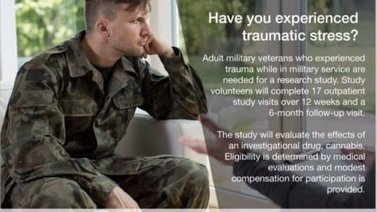 The PTSD marijuana study is now recruiting veteran volunteers