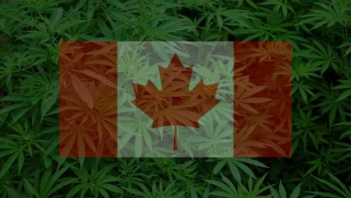 The tiny Canadian town that marijuana saved
