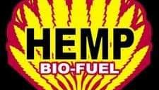 The ugly reason why hemp is illegal