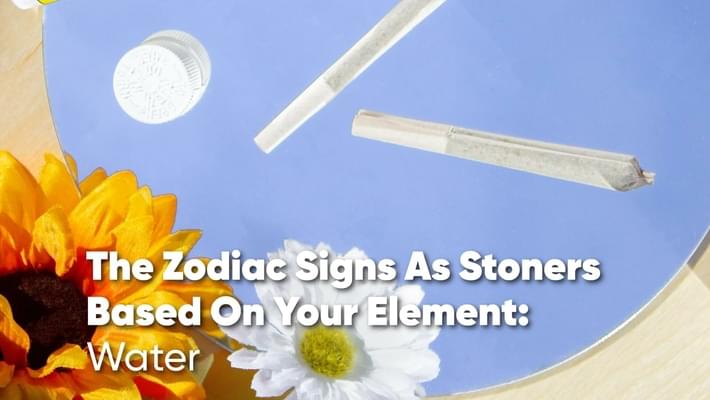 The Zodiac Signs as Stoners Based on Your Element - Water Signs