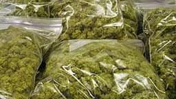 Thirteen bags of marijuana found in taxi cab