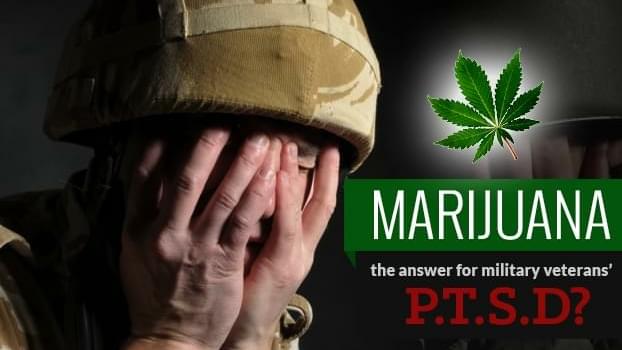 TN legislator pushing for medicinal marijuana use for PTSD