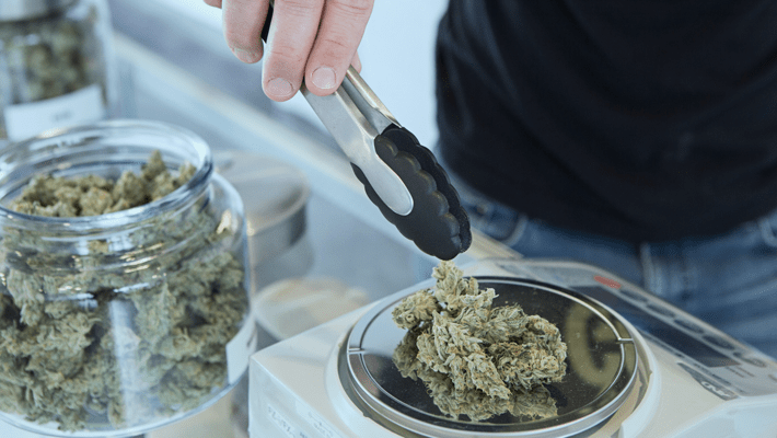 Top 5 Questions to Ask A Budtender
