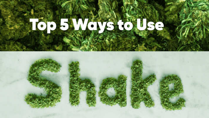 Top 5 Ways to Use Shake