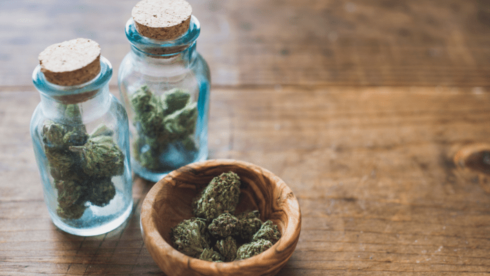 Top 6 Sativa Strains to Try Right Now