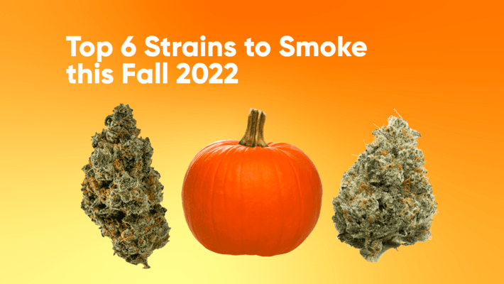 Top 6 Strains to Smoke this Fall 2022