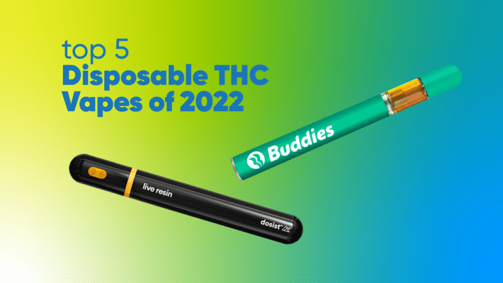 Top 6 THC Disposable Vapes 2022
