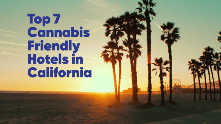 Top 7 Cannabis-Friendly Hotels in California