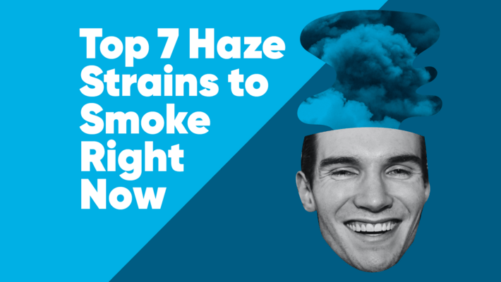 Top 7 Haze Strains to Smoke Right Now