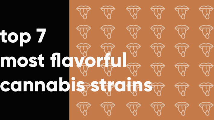 Top 7 Most Flavorful Strains of Cannabis