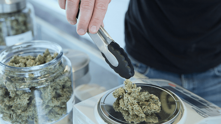 Top 7 Tasty OG Kush Strains to Get High With