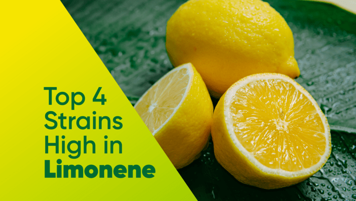 Top Four Strains High in Limonene