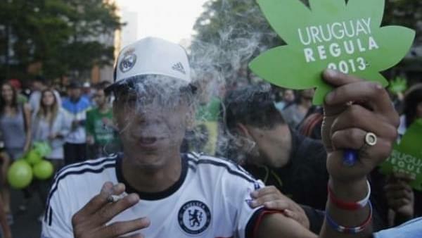 Trailblazing Uruguay Lights up New Marijuana Museum