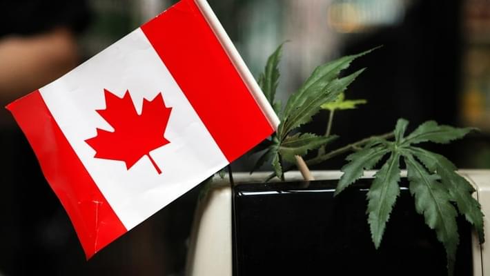 Trudeau Proposes Bill to Legalize Recreational Marijuana Use in Canada