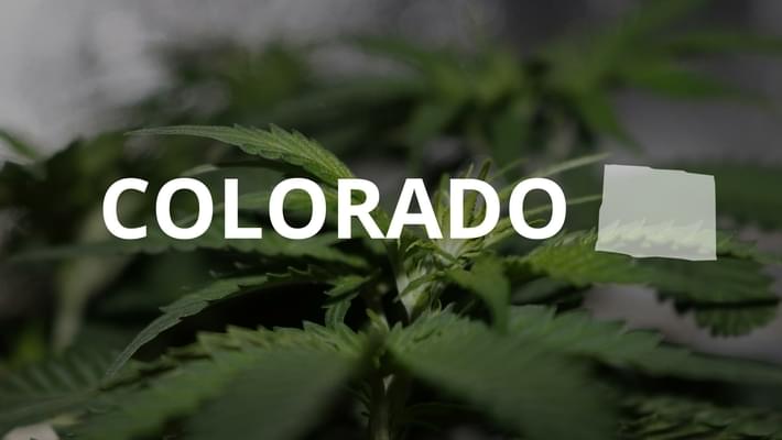 Two New Laws Take Aim At Black Market Marijuana In Colorado