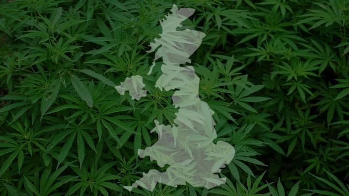 UK Parliament To Debate Medical Marijuana Bill This Week