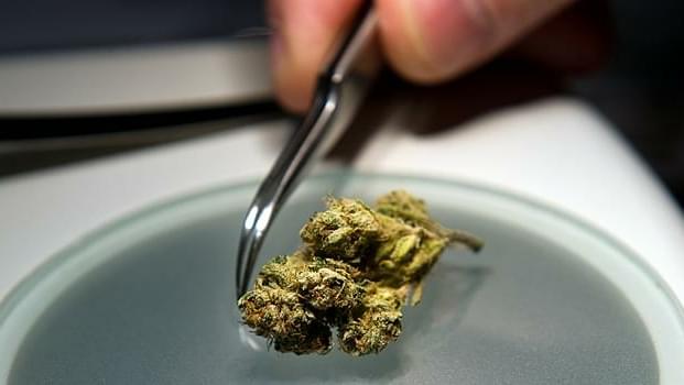 University of Illinois lab prepared to perform tests on medical marijuana