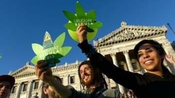 Uruguay First Country to Legalize Marijuana Industry