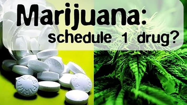 U.S. Gov't Will Legalize Marijuana on August 1